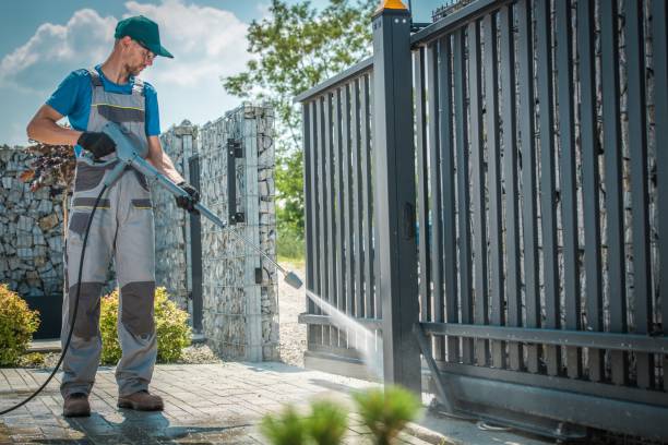 Best Graffiti Removal  in Memphis, MI