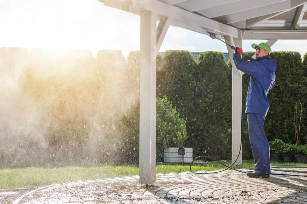 Professional  Pressure Washing Services in Memphis, MI